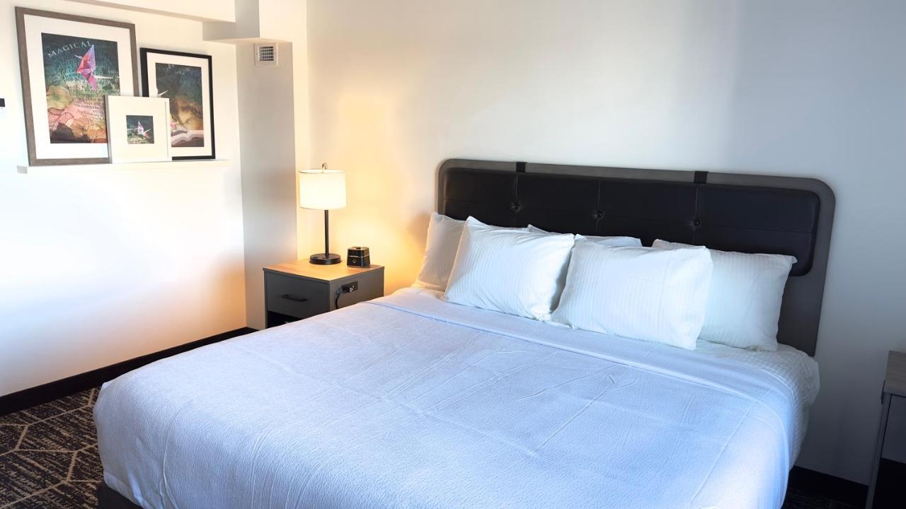 La Quinta By Wyndham Chicago O'Hare Airport Hotel Rosemont Bagian luar foto