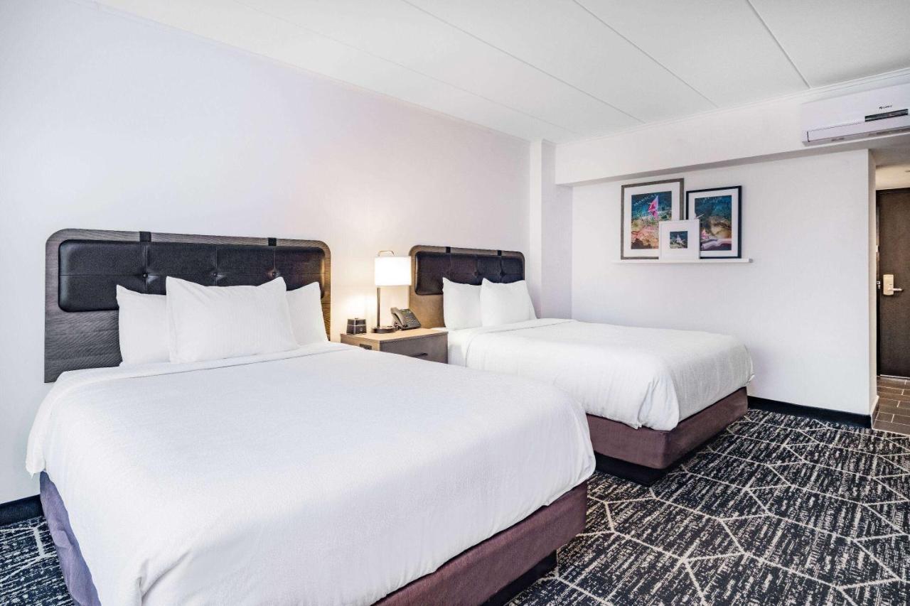 La Quinta By Wyndham Chicago O'Hare Airport Hotel Rosemont Bagian luar foto